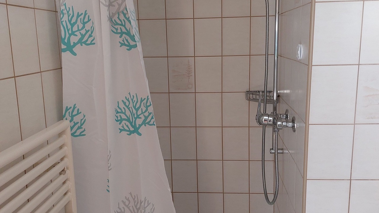 Photo of Bathroom in Giswil