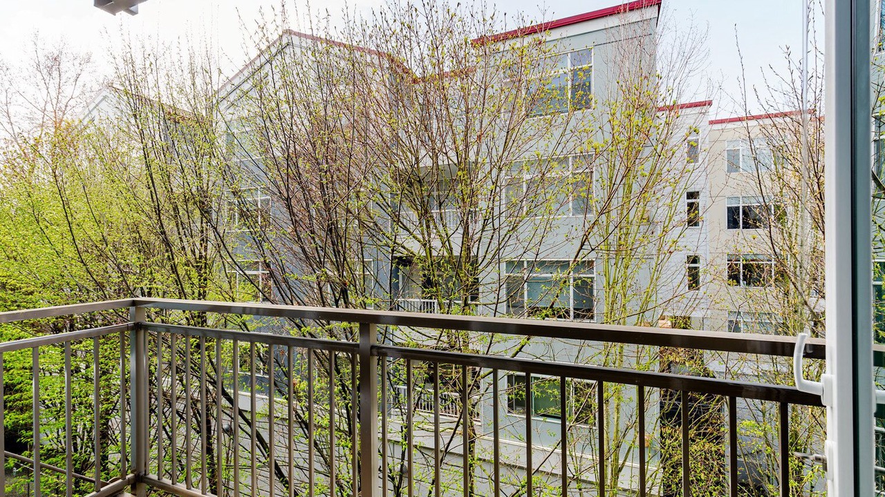 Photo of Outdoor in West Bellevue