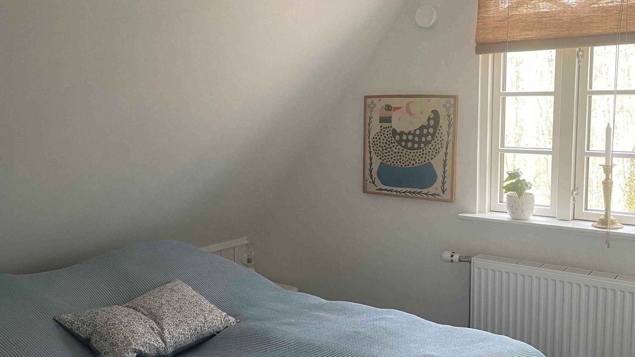 Photo of Others in Hejsager Strand