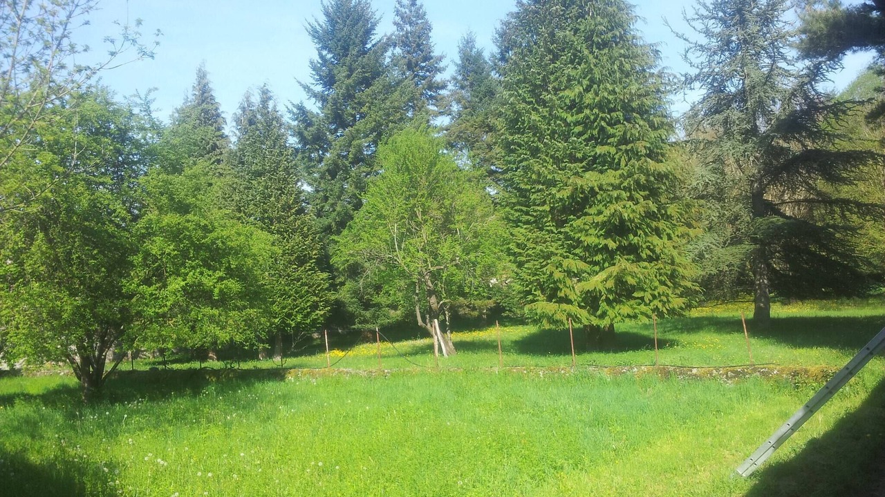 Photo of Outdoor in Ore