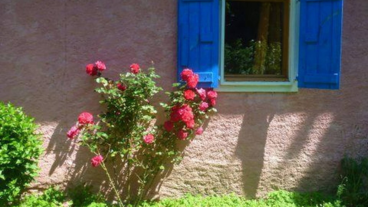 Photo of Outdoor in Ore