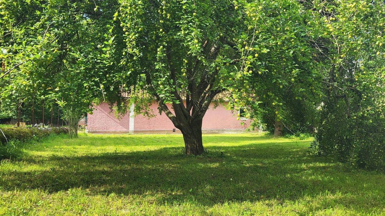 Photo of Outdoor in Ore
