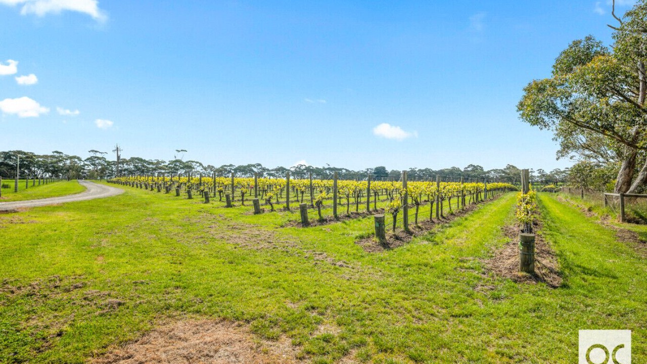 Photo of Others in Kuitpo