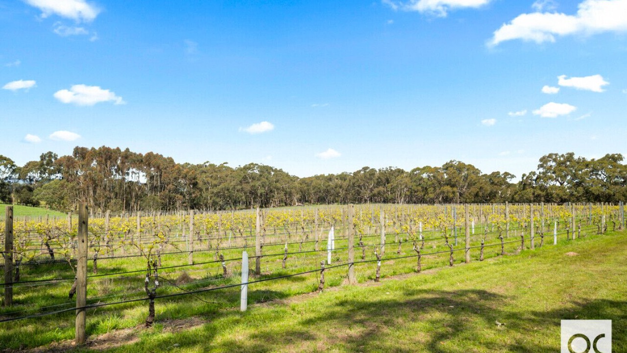 Photo of Others in Kuitpo