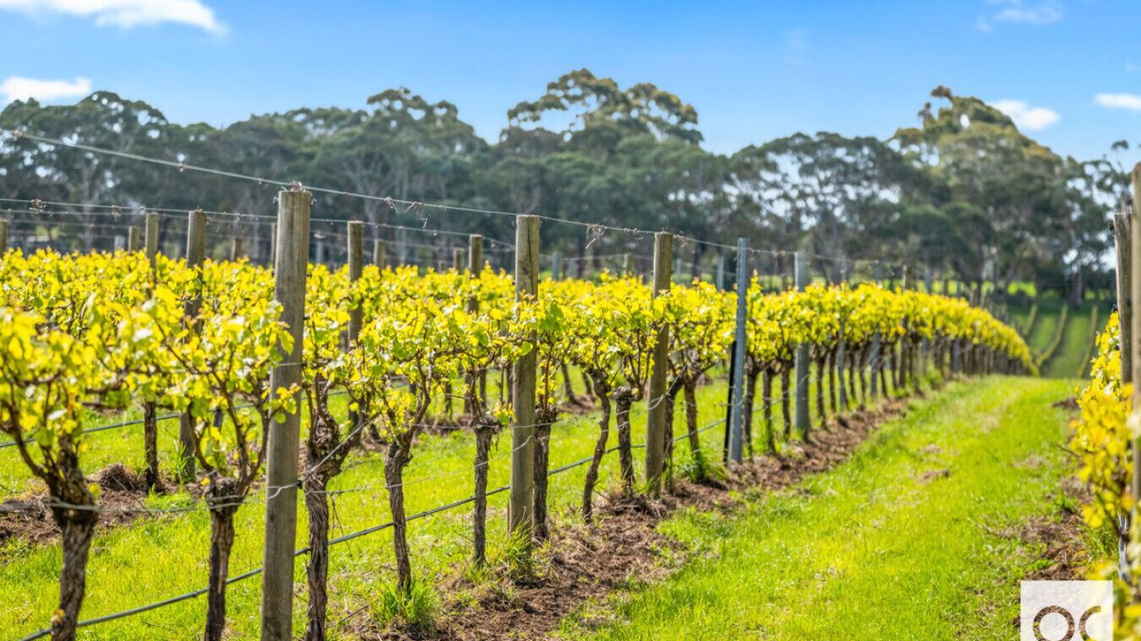 Photo of Others in Kuitpo