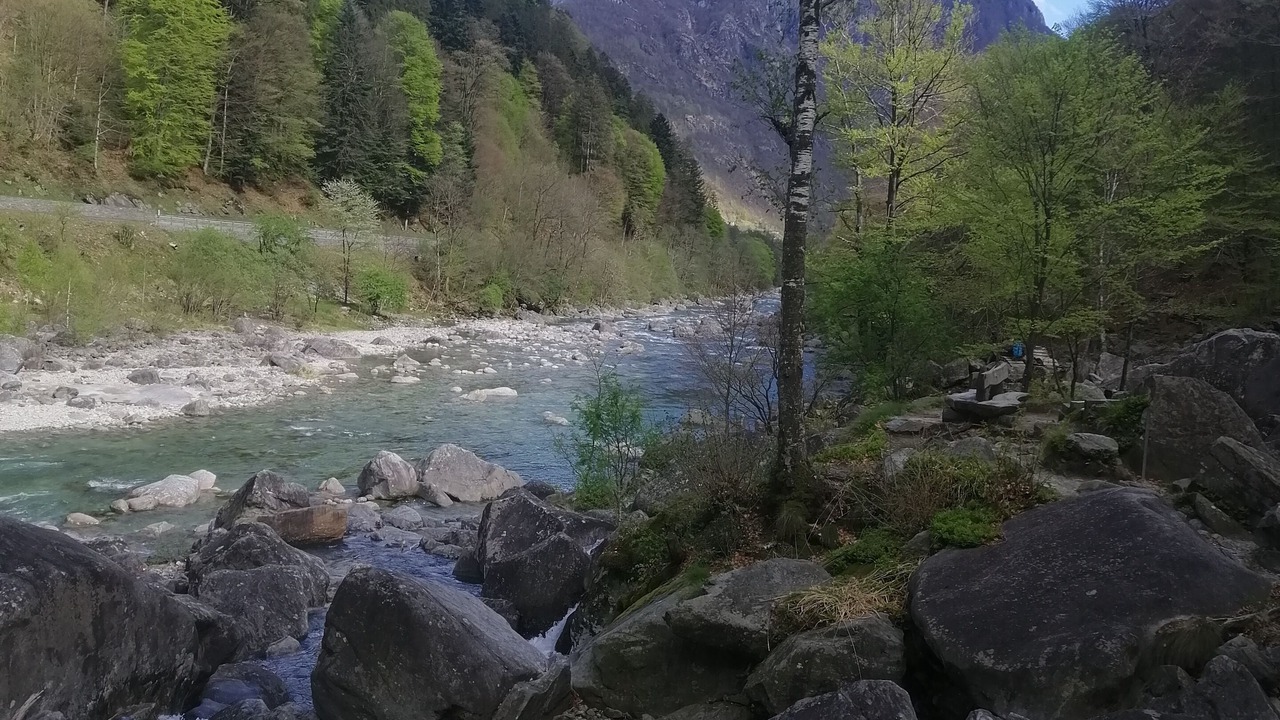 Photo of Others in Brione