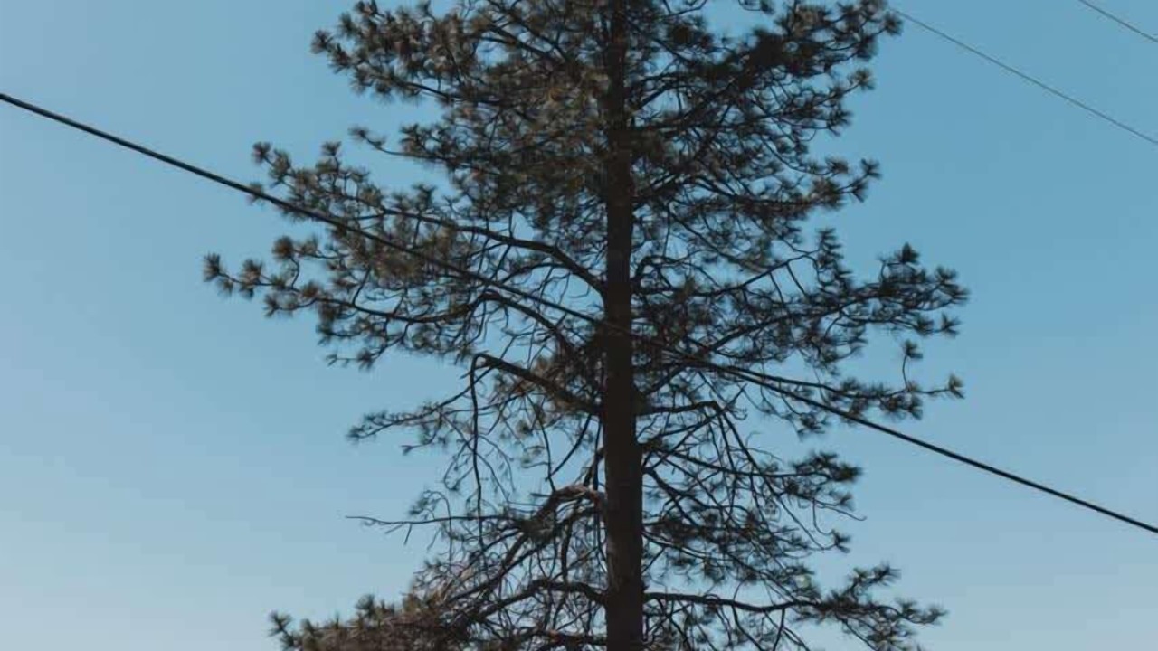 Photo of Others in Dunlap