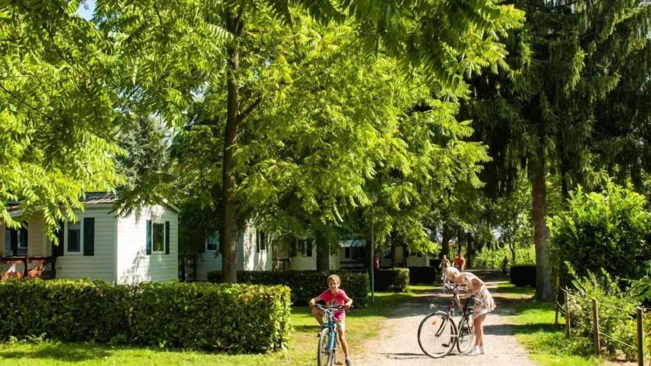 Photo of Outdoor in Rhinau