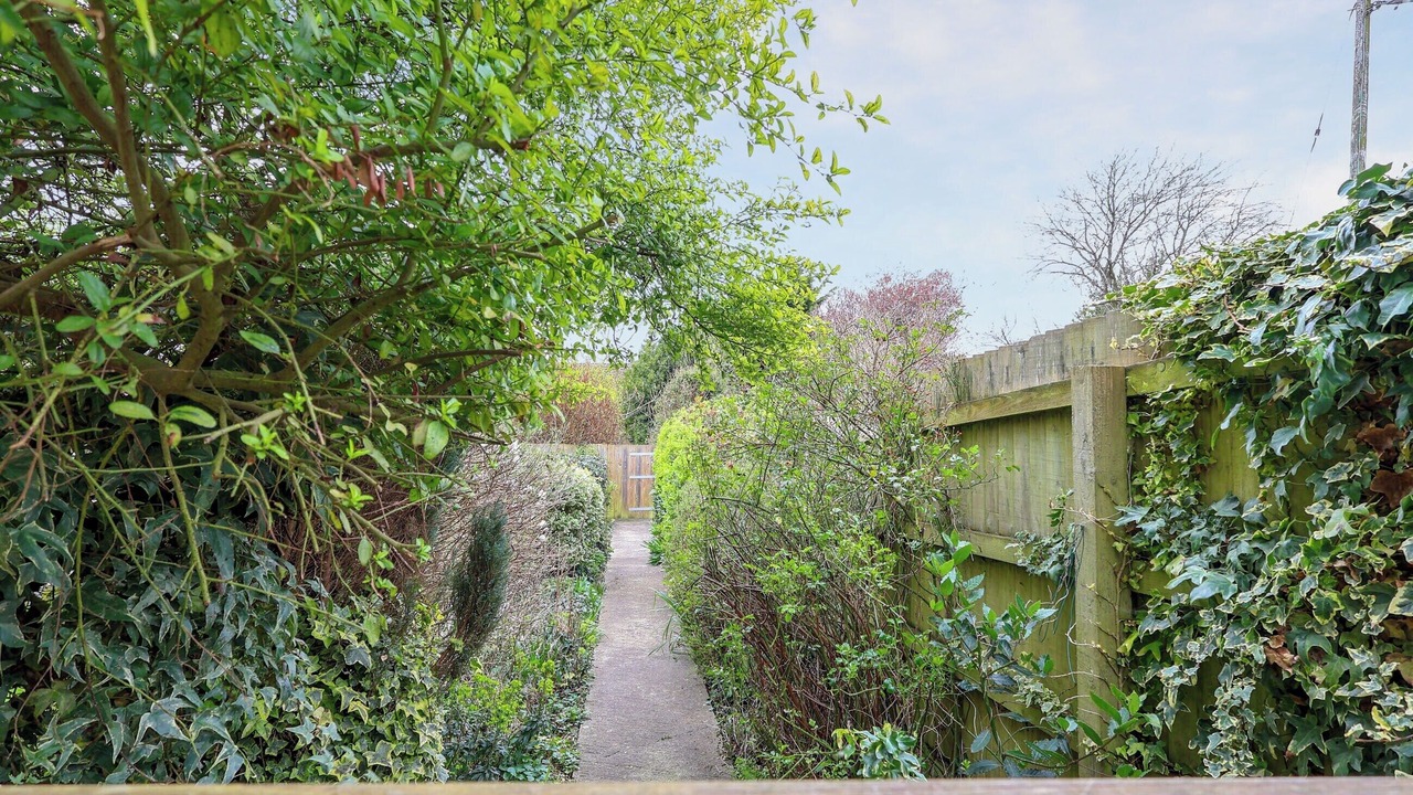 Photo of Outdoor in Berkeley