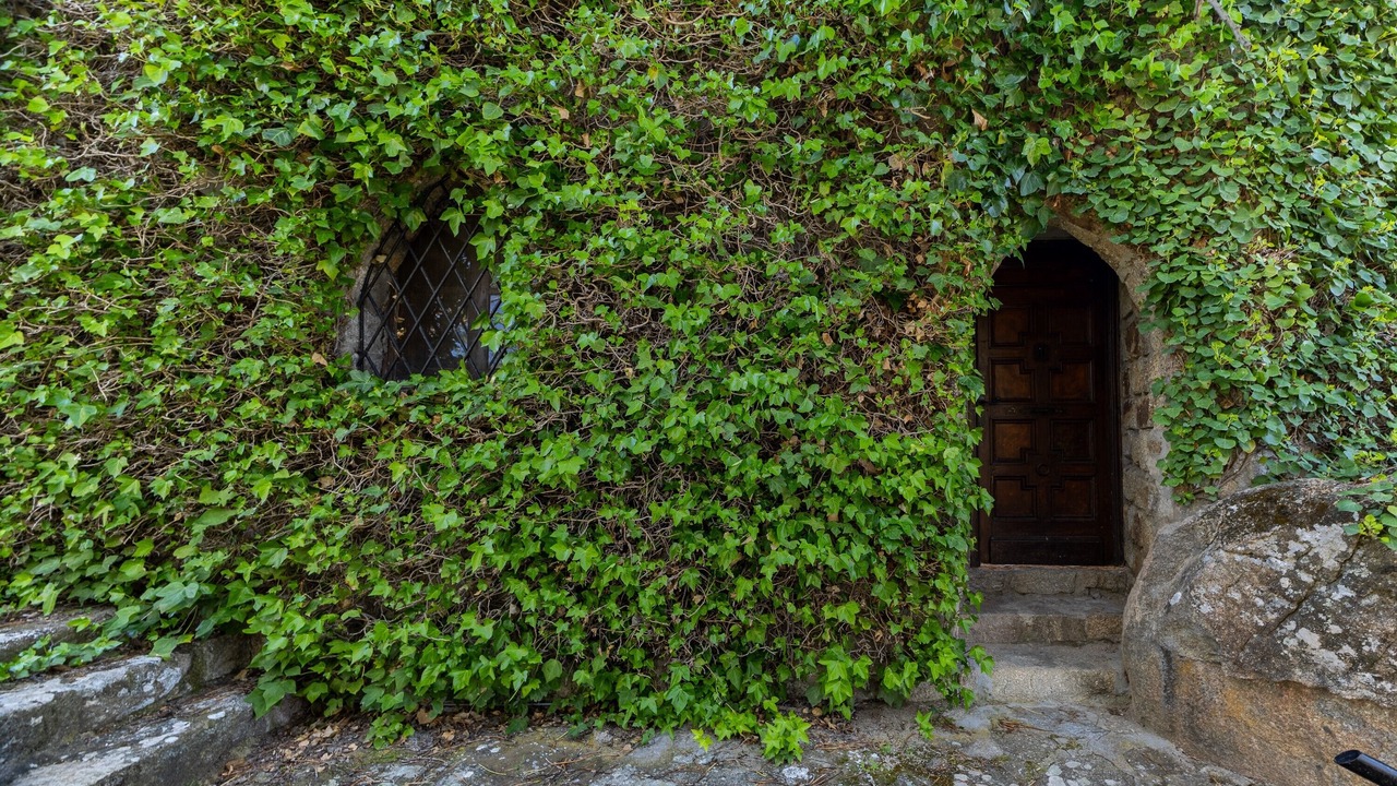 Photo of Outdoor in El Barraco