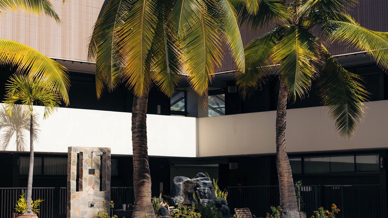 Photo of Outdoor in Downtown Honolulu