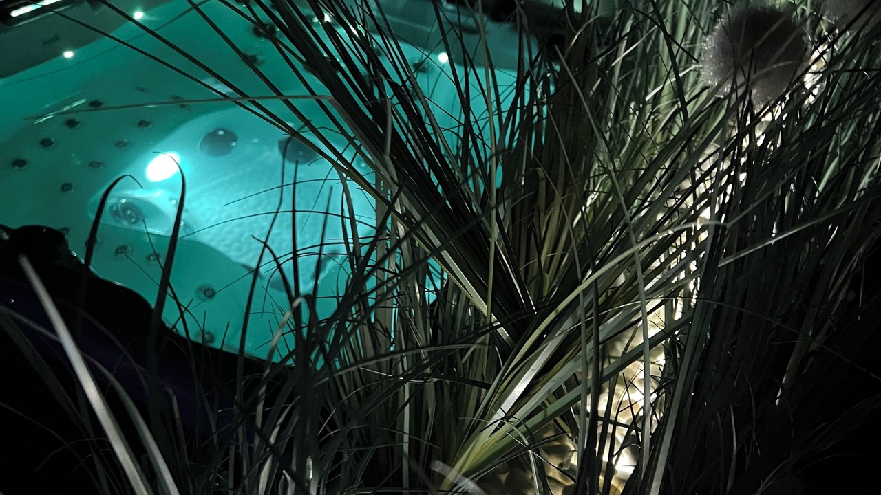 Photo of Outdoor in Finestrat