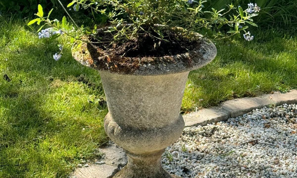 Photo of Outdoor in Chateaubourg