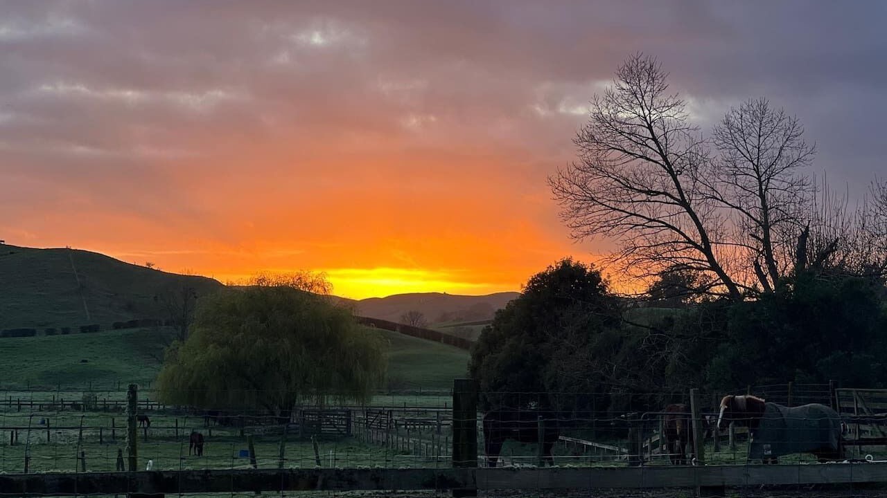 Photo of Others in Eureka