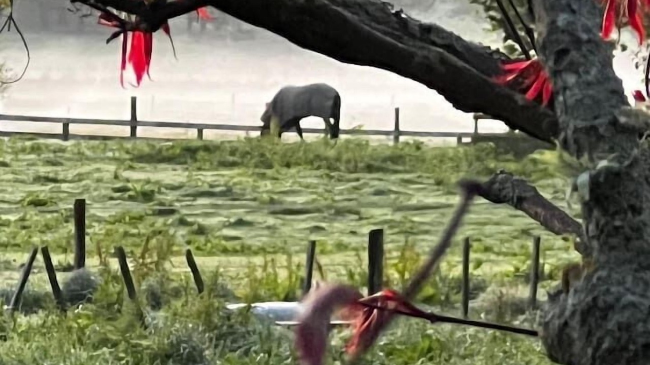 Photo of Others in Eureka