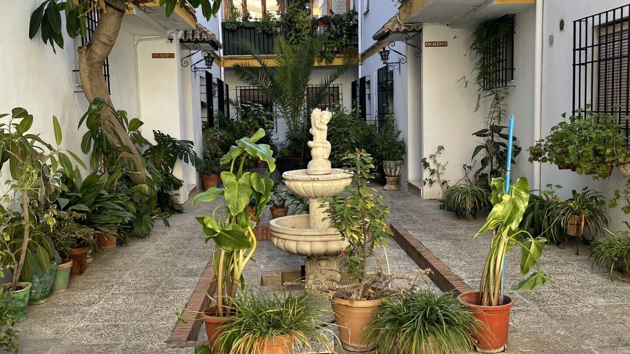 Photo of Outdoor in San Pedro