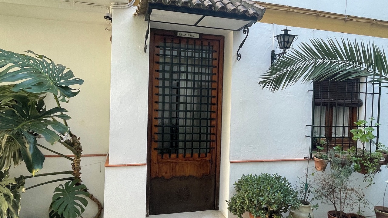Photo of Outdoor in San Pedro