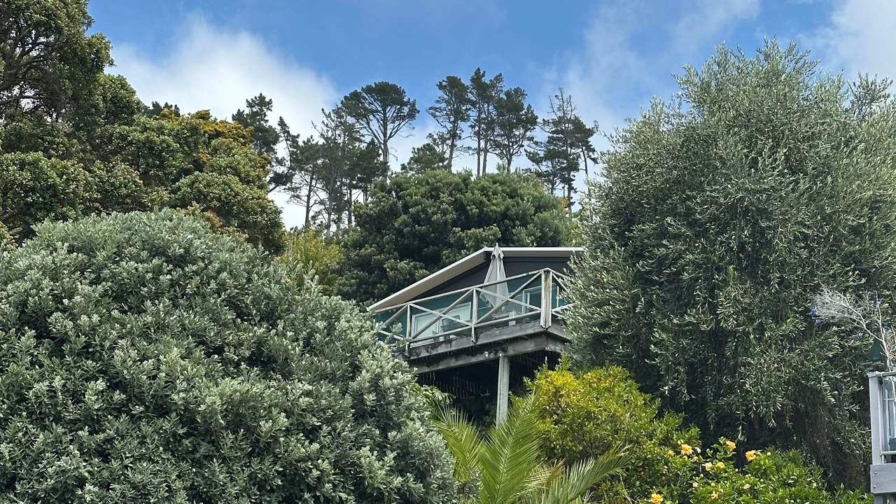 Photo of Others in Hahei