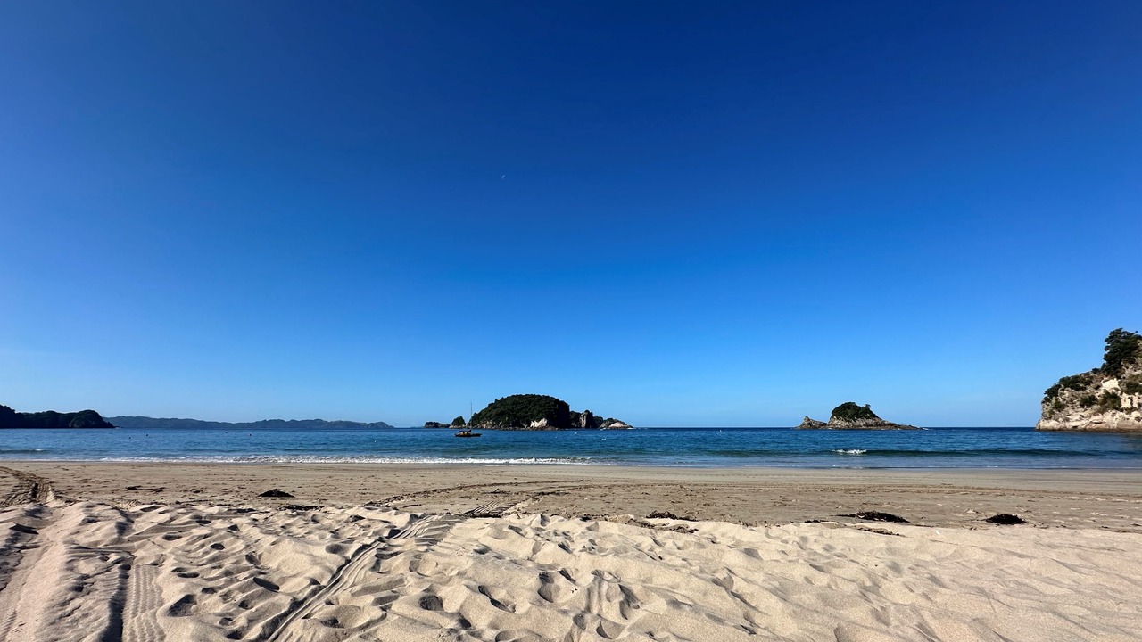 Photo of Others in Hahei