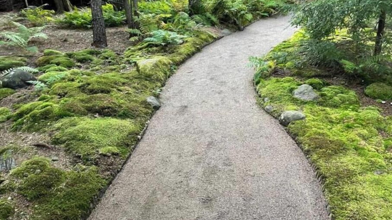 Photo of Outdoor in Surry