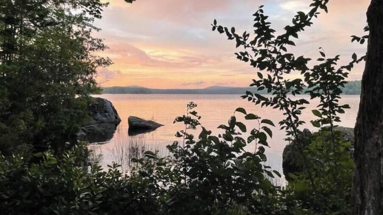 Photo of Others in Surry