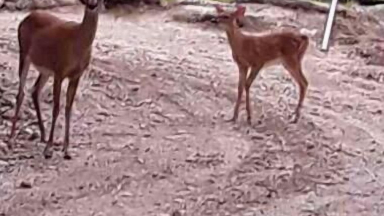 Photo of Others in Surry