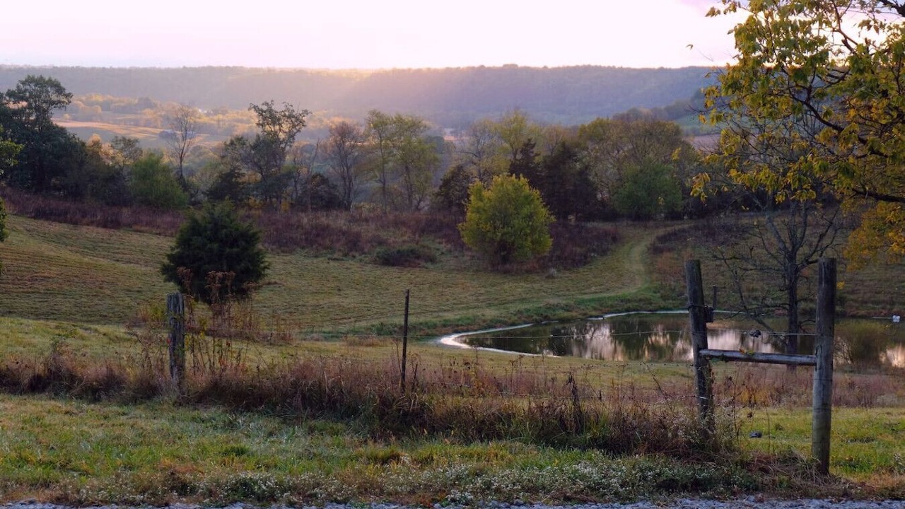 Photo of Others in Frankfort