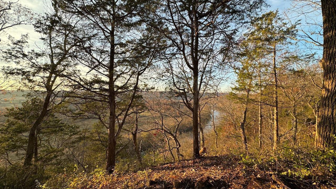 Photo of Others in Frankfort