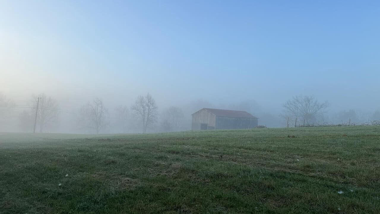 Photo of Others in Frankfort