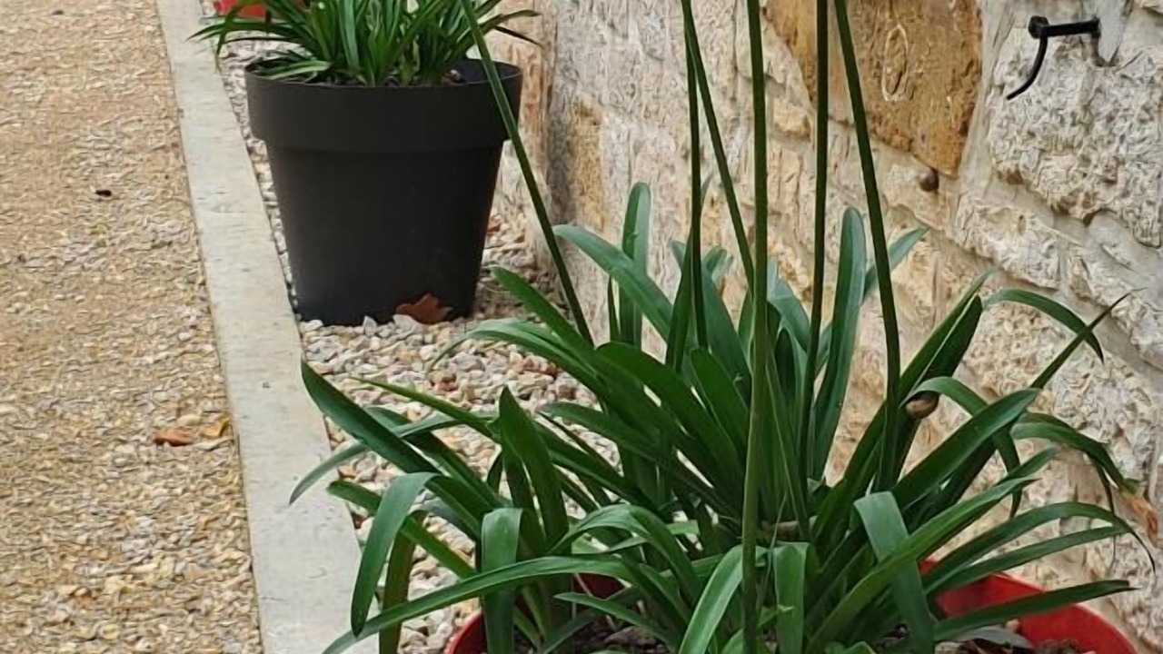 Photo of Outdoor in Cavagnac