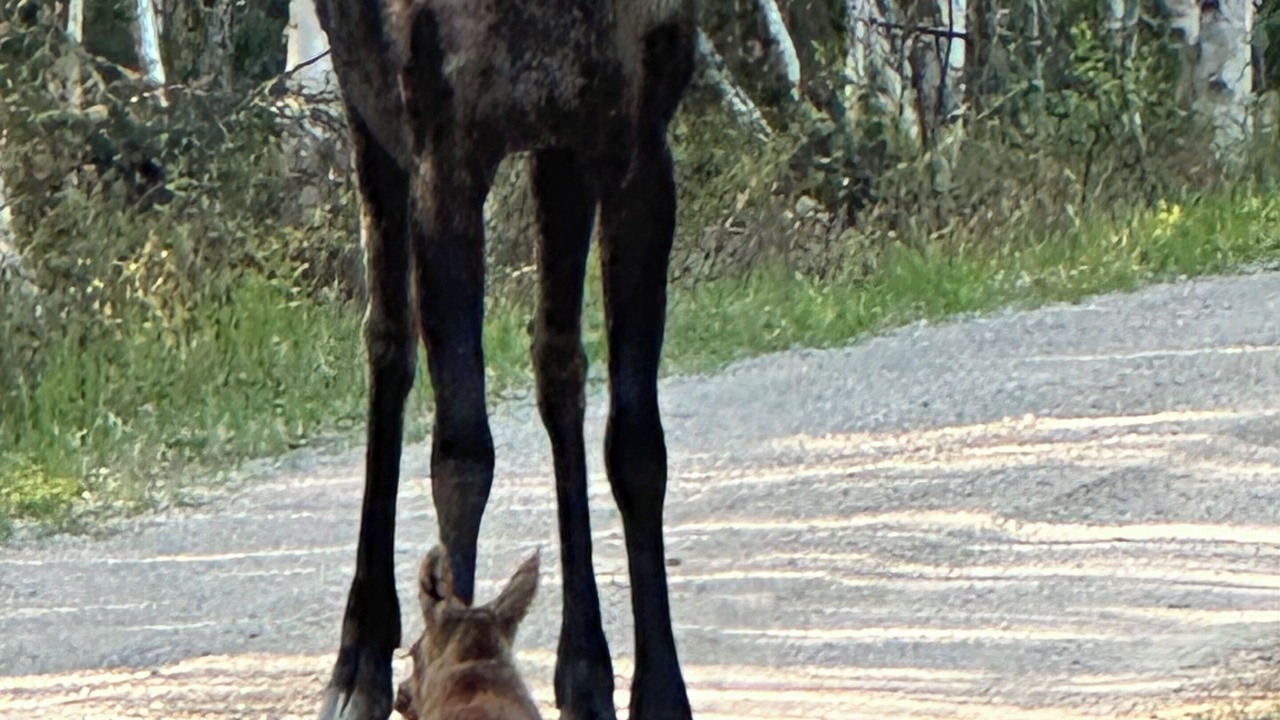 Photo of Others in Unorganized Thunder Bay District