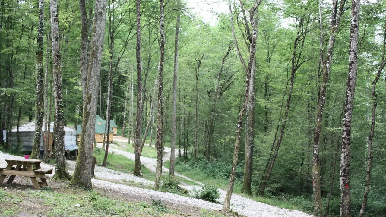 Photo of Others in Chisseaux