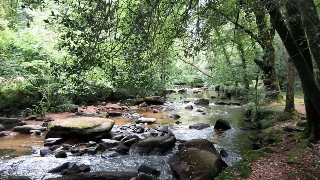 Photo of Others in Kernascleden