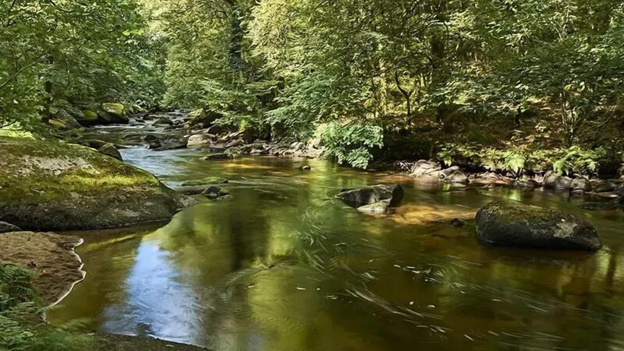 Photo of Others in Kernascleden