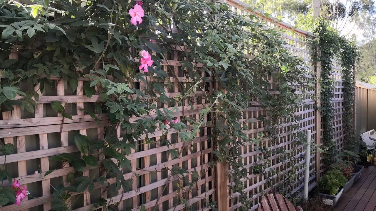 Photo of Outdoor in Riverwood