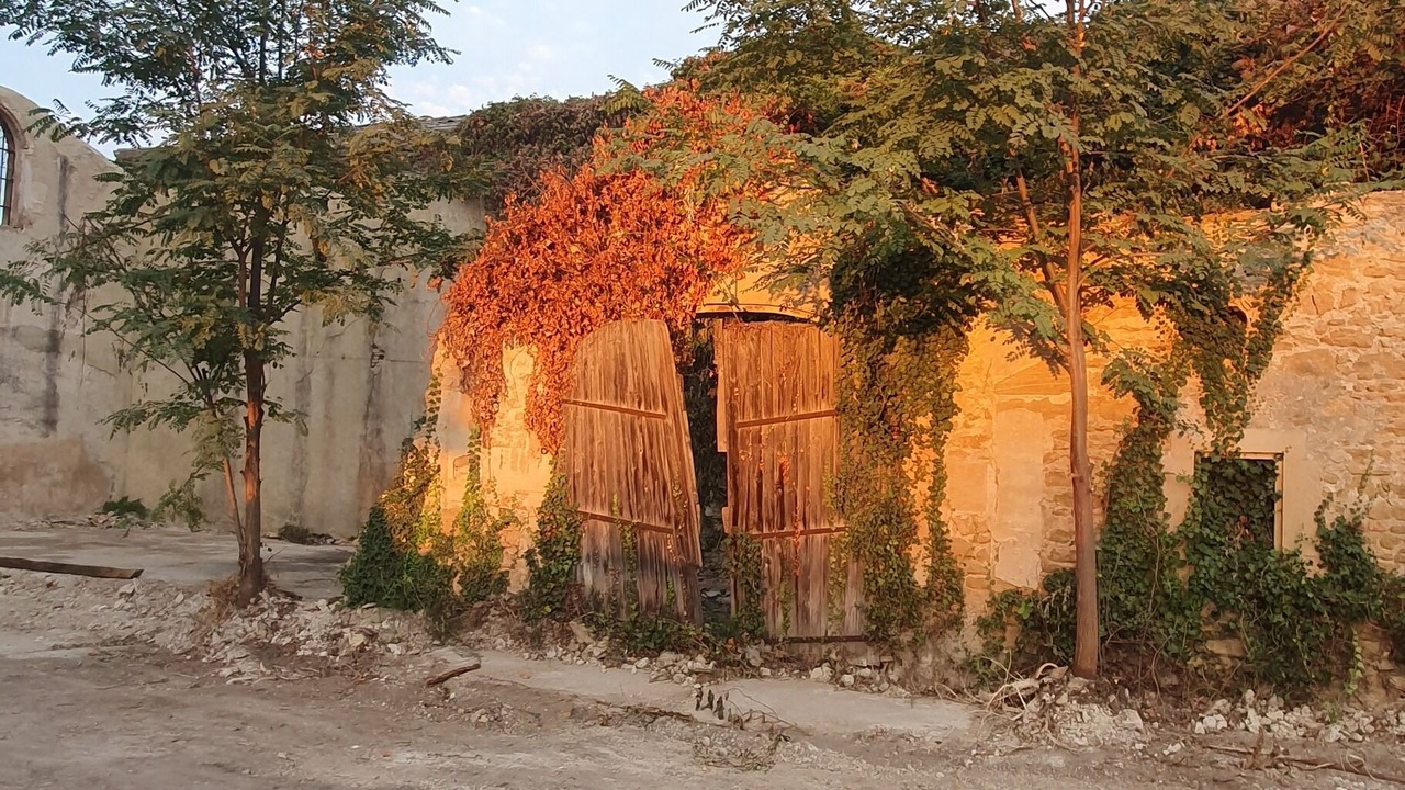 Photo of Others in Bouchet