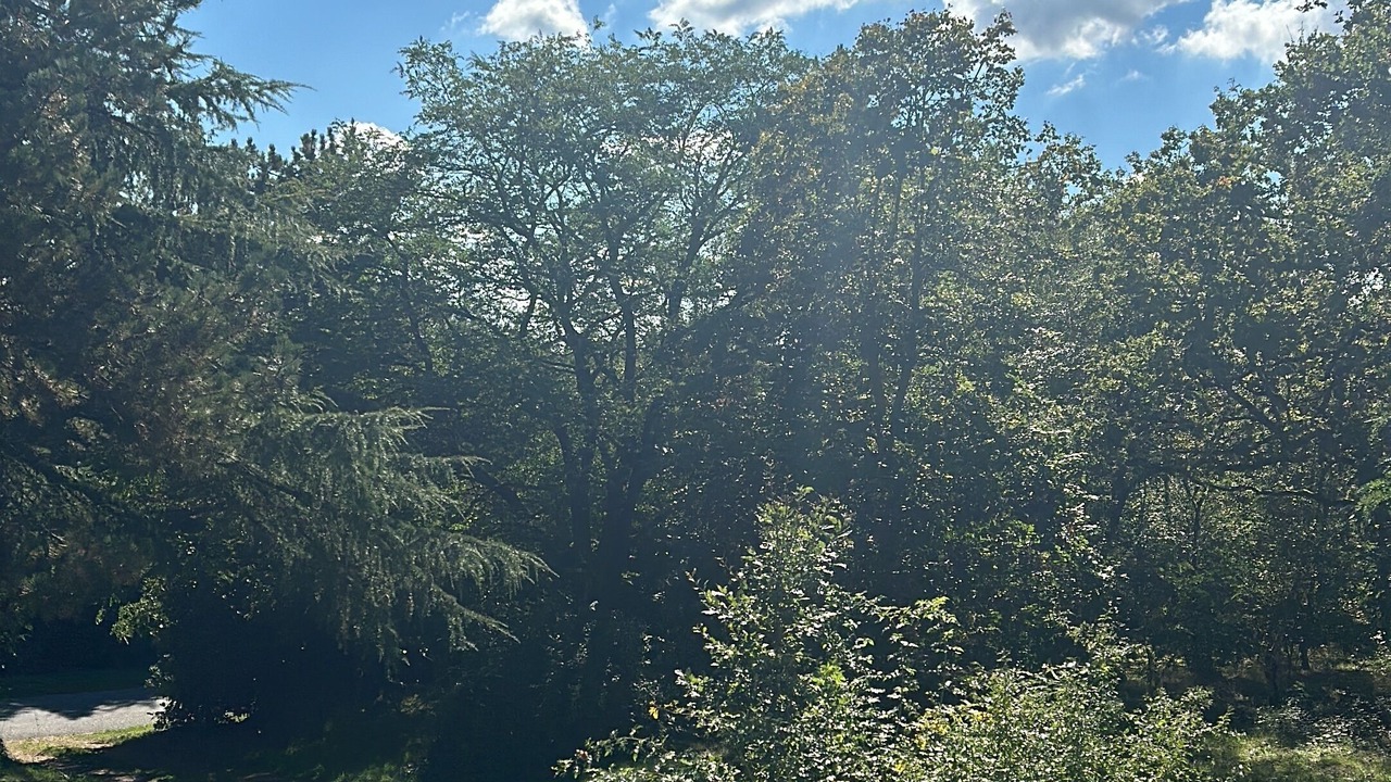 Photo of Others in Conie-Molitard