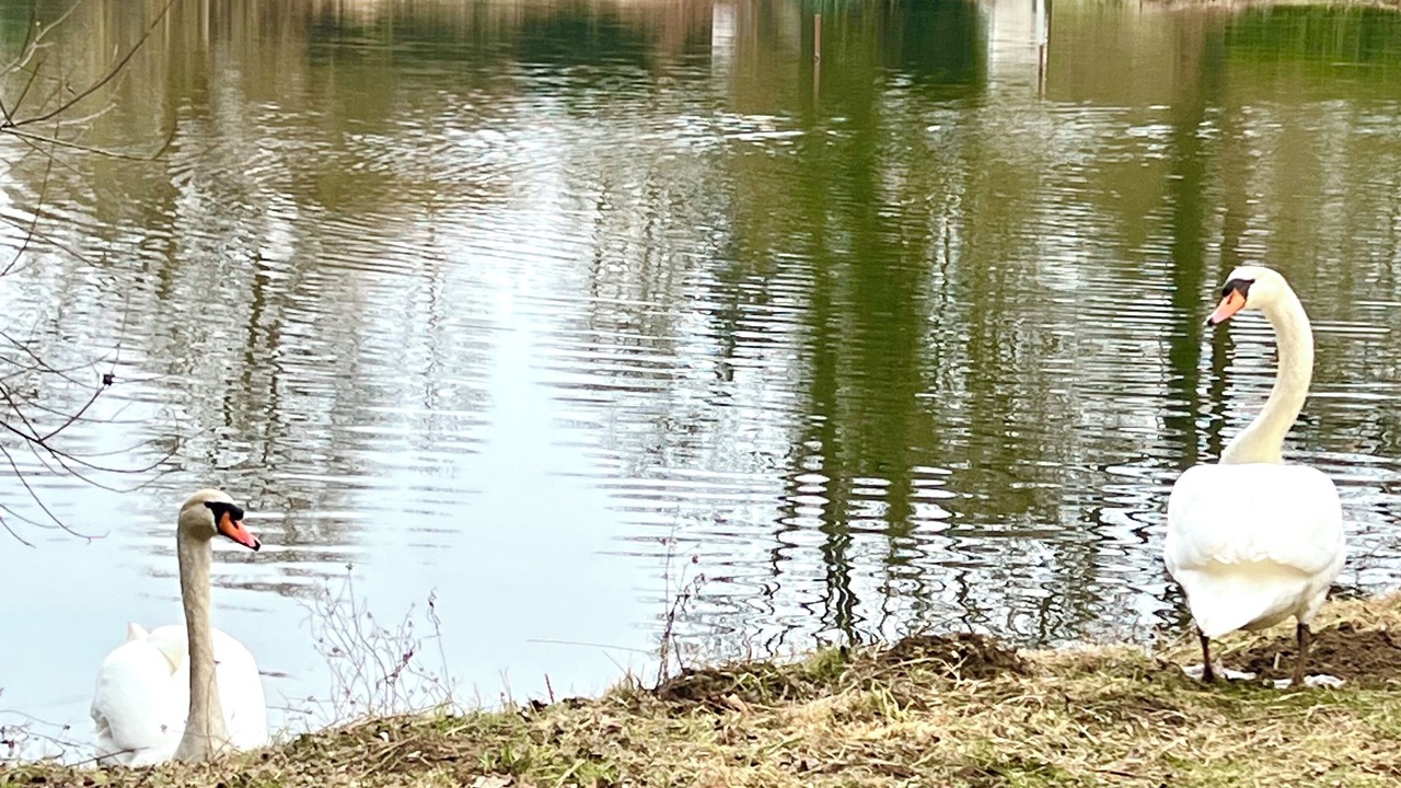 Photo of Outdoor in Trigny