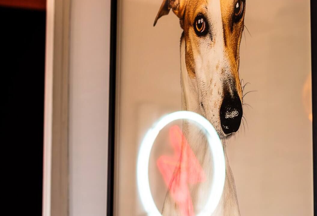 Photo of Others in Ramsgate