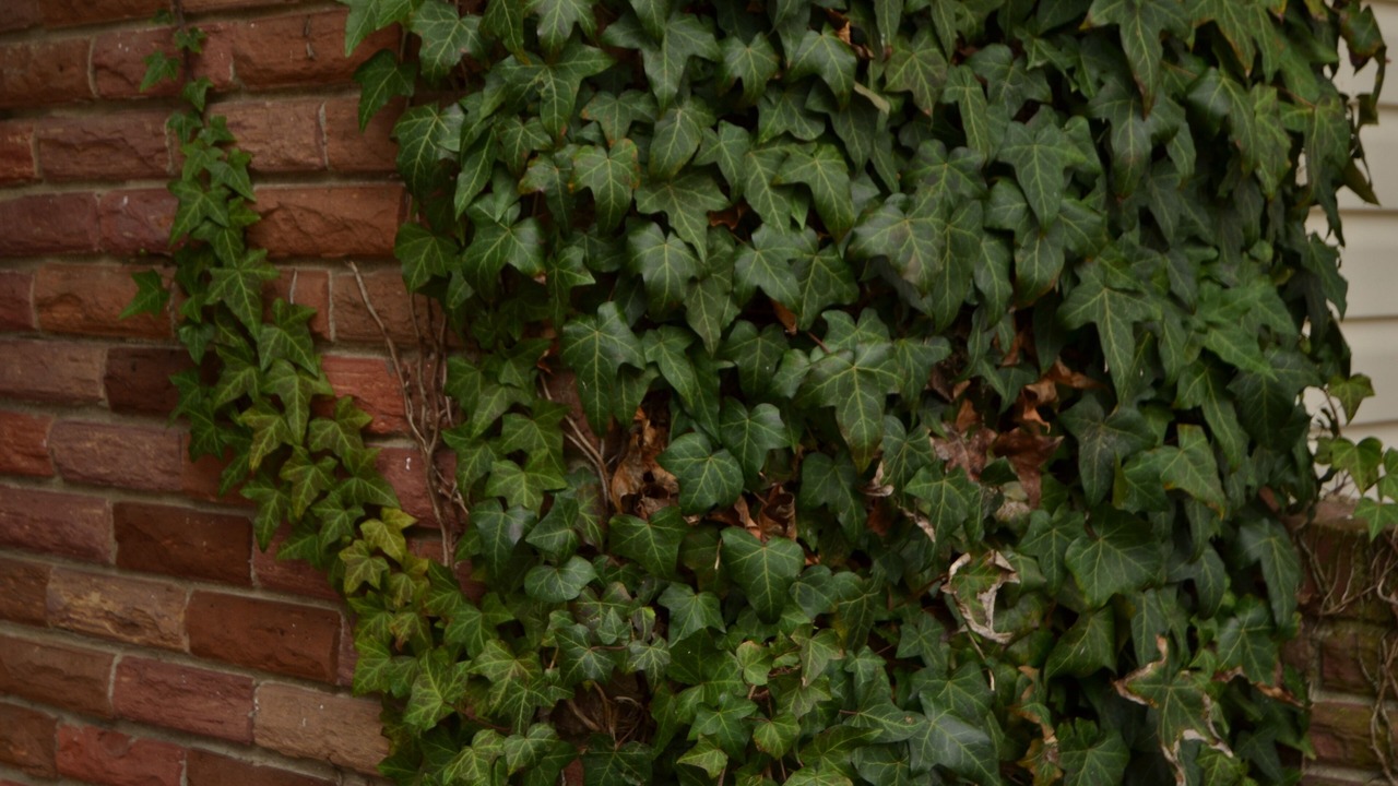 Photo of Outdoor in Greenfield