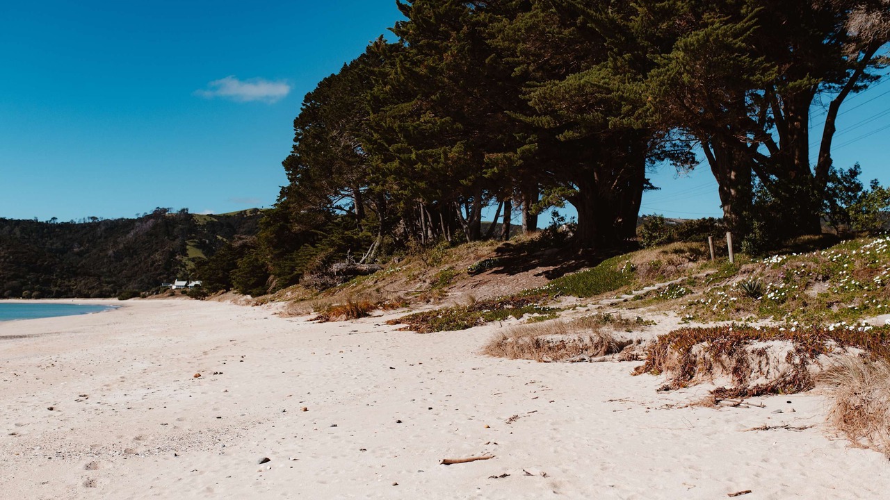 Photo of Others in Kuaotunu