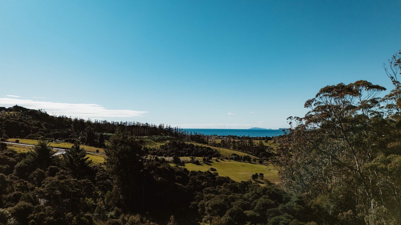 Photo of Others in Kuaotunu