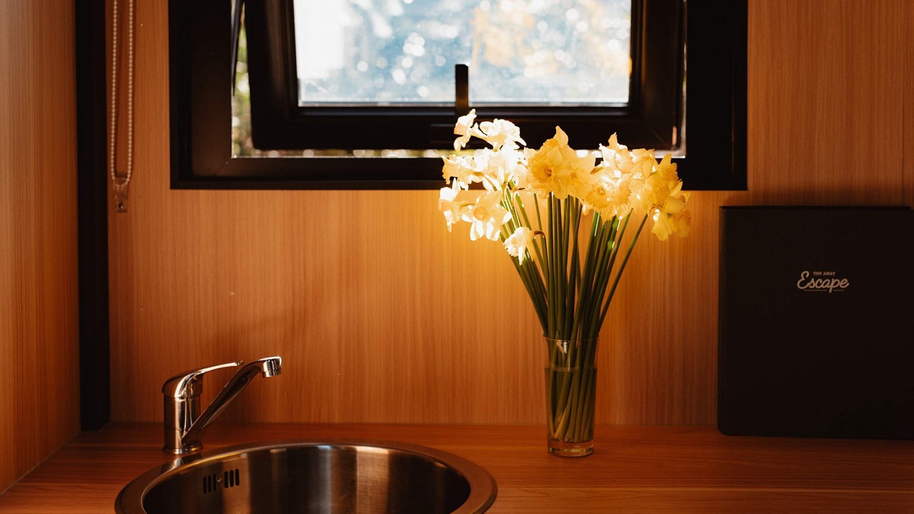 Photo of Others in Kuaotunu