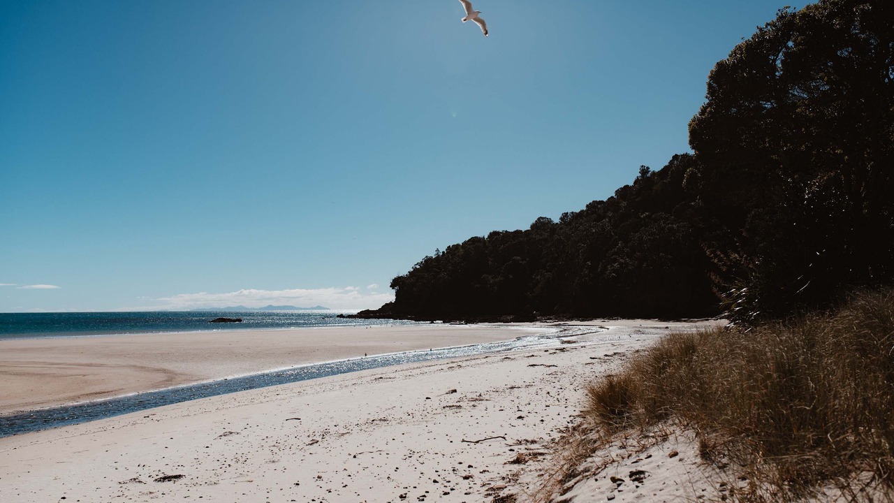 Photo of Others in Kuaotunu