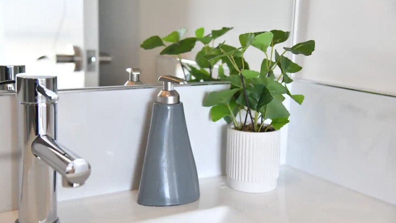 Photo of Others in Tekapo