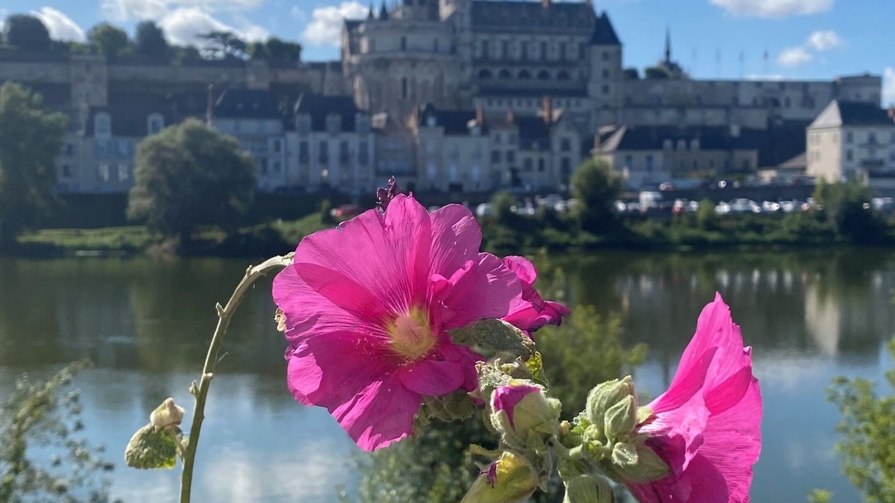 Photo of Others in Amboise