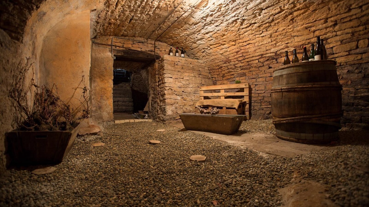 Photo of Others in Savigny-les-Beaune