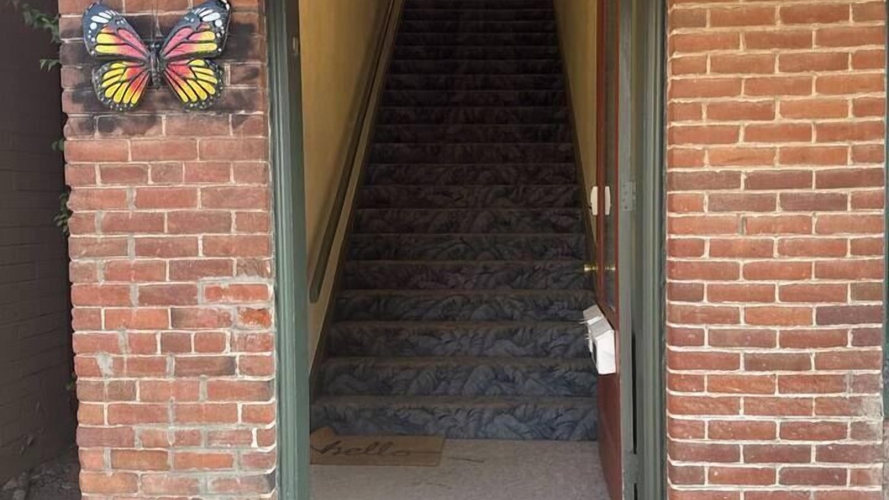 Photo of Others in Lakeview