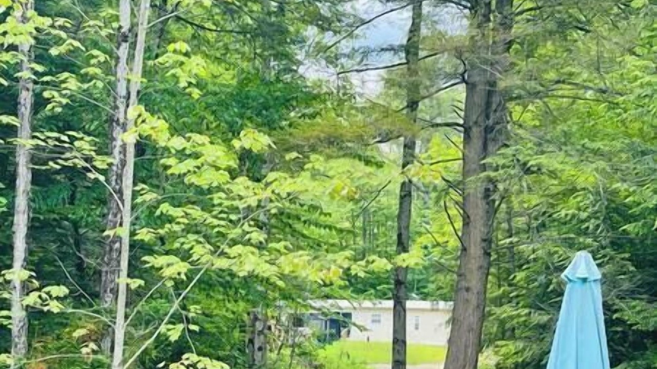 Photo of Others in Kawartha Lakes