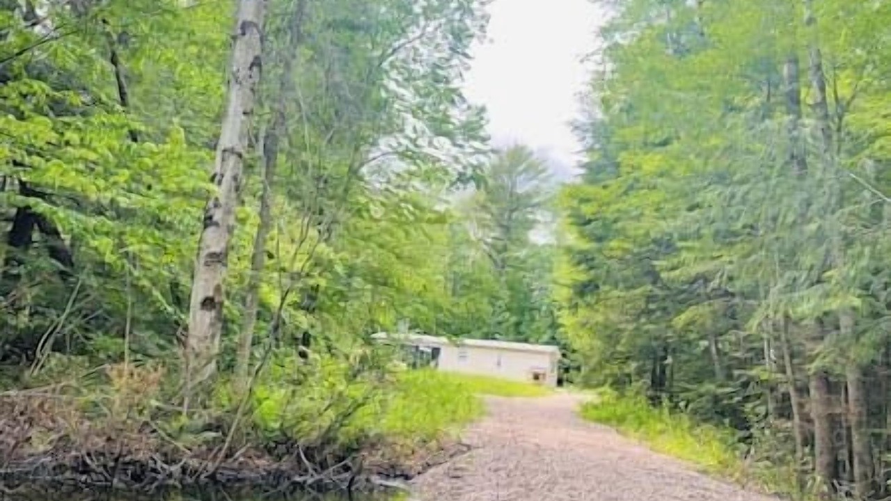 Photo of Others in Kawartha Lakes